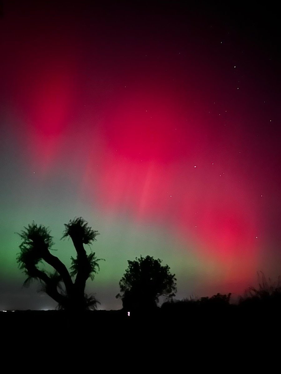 Northern lights in Cambridge UK…just saved myself a trip to Lapland! 😂