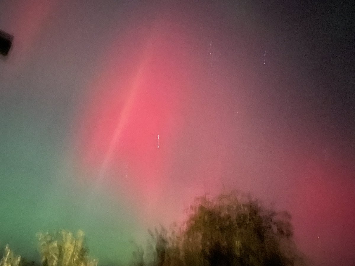 Ali Talbot tweet media