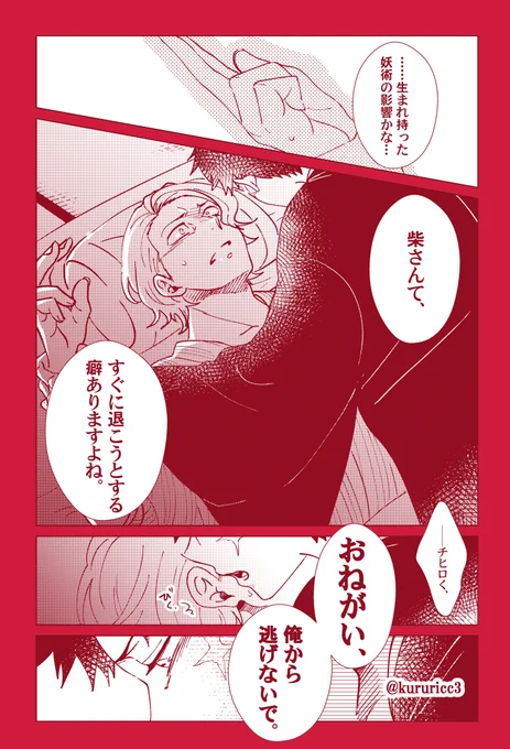 チヒ柴 
