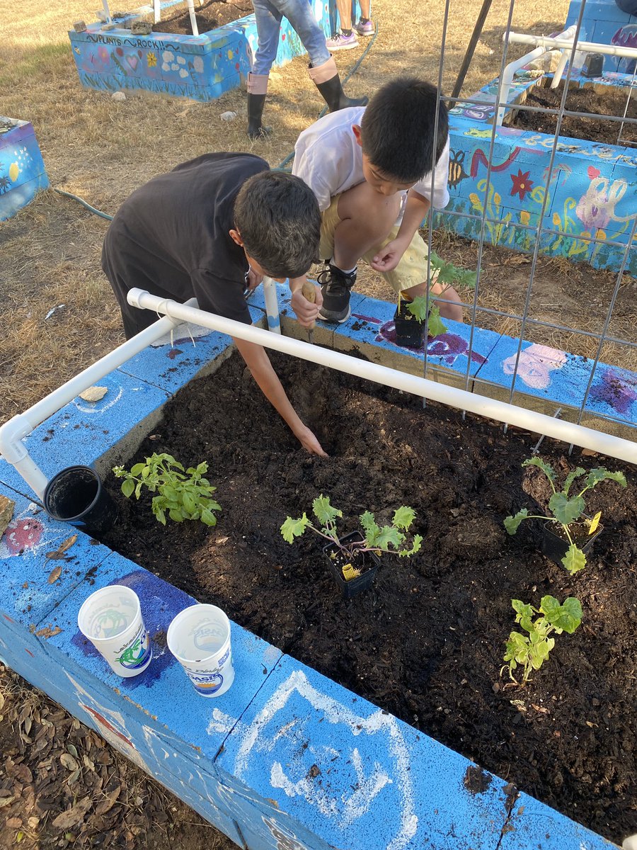 Bernadette Delagarza tweet media