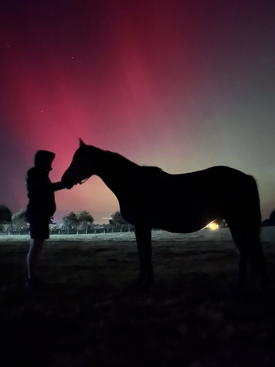 Kevin Blake tweet media