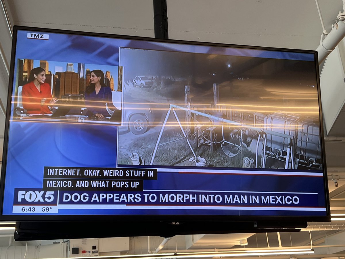 This is how I found out Animorphs are real