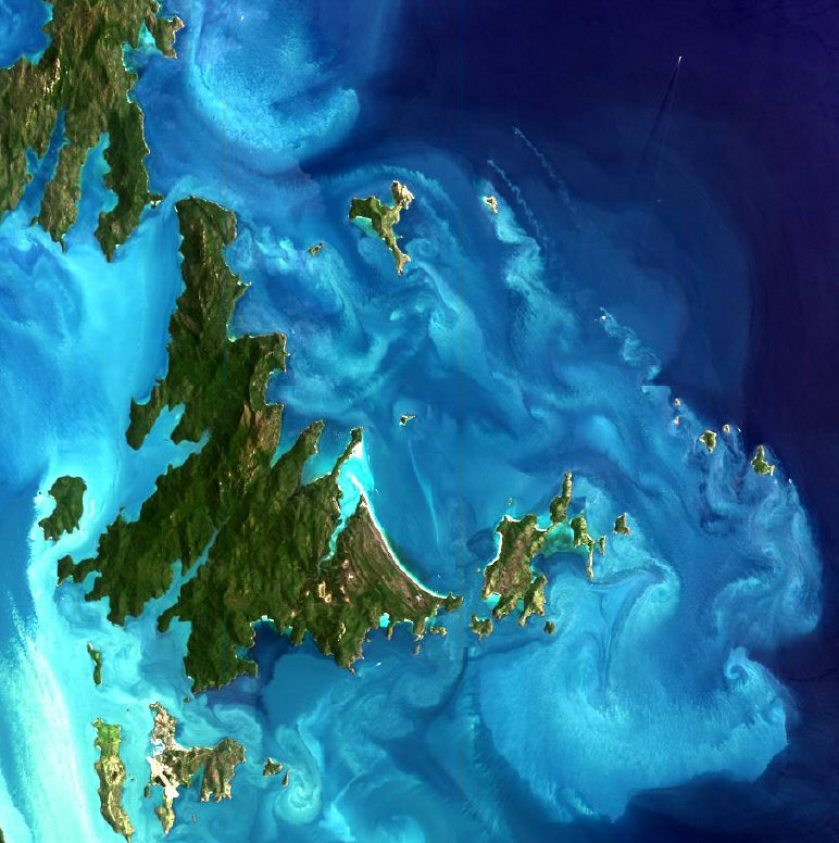 Mike Kingsford (@ed_kingsford) on Twitter photo Some much for the ‘law of parsimony’, simple explanations of currents and where larvae go don’t work on the Great Barrier Reef! Check out our recent paper tinyurl.com/yc72jkr5 <a href="/jcu/">James Cook Uni</a> Some much for the ‘law of parsimony’, simple explanations of currents and where larvae go don’t work on the Great Barrier Reef! Check out our recent paper tinyurl.com/yc72jkr5 <a href="/jcu/">James Cook Uni</a>