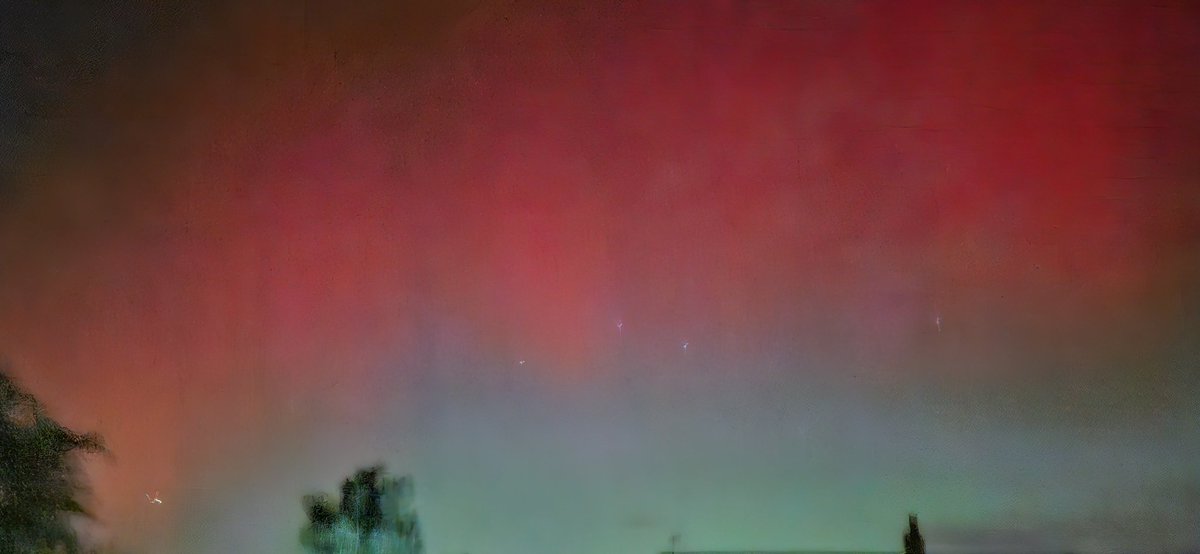 Dr Zinny OO tweet media