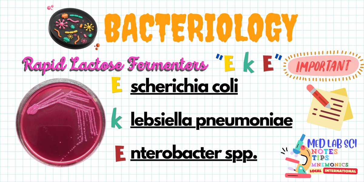 Bacteriology!!!
