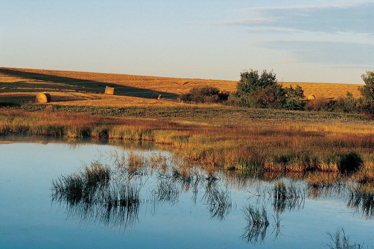 It’s Sask Ag Week and we’re digging this year’s theme, "celebrating shared values". We extend our thanks and appreciation to DUC program partners who demonstrate each day their commitment to steward land in a way that provides abundance for humans and wildlife alike. #CelebrateAg
