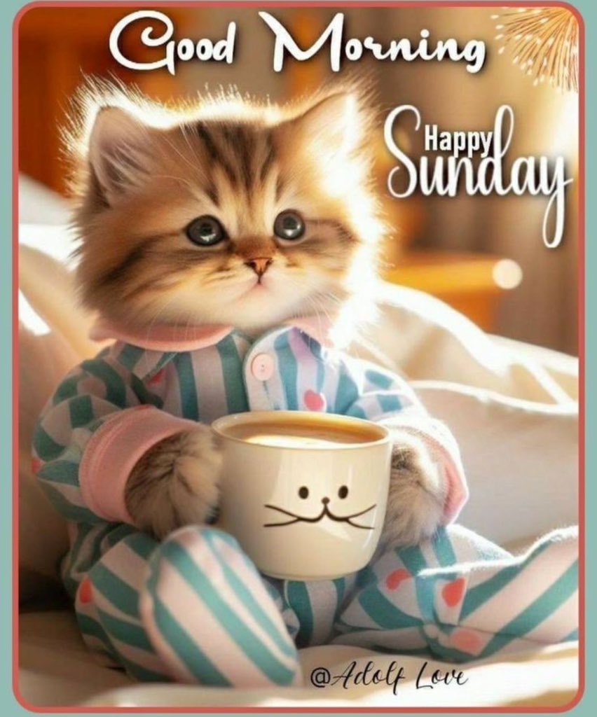 laibaali188's tweet photo. Hey 
X creators 
Have a good morning 🌅 
Beautiful day ahead https://t.co/Rd3BrXdF1Y