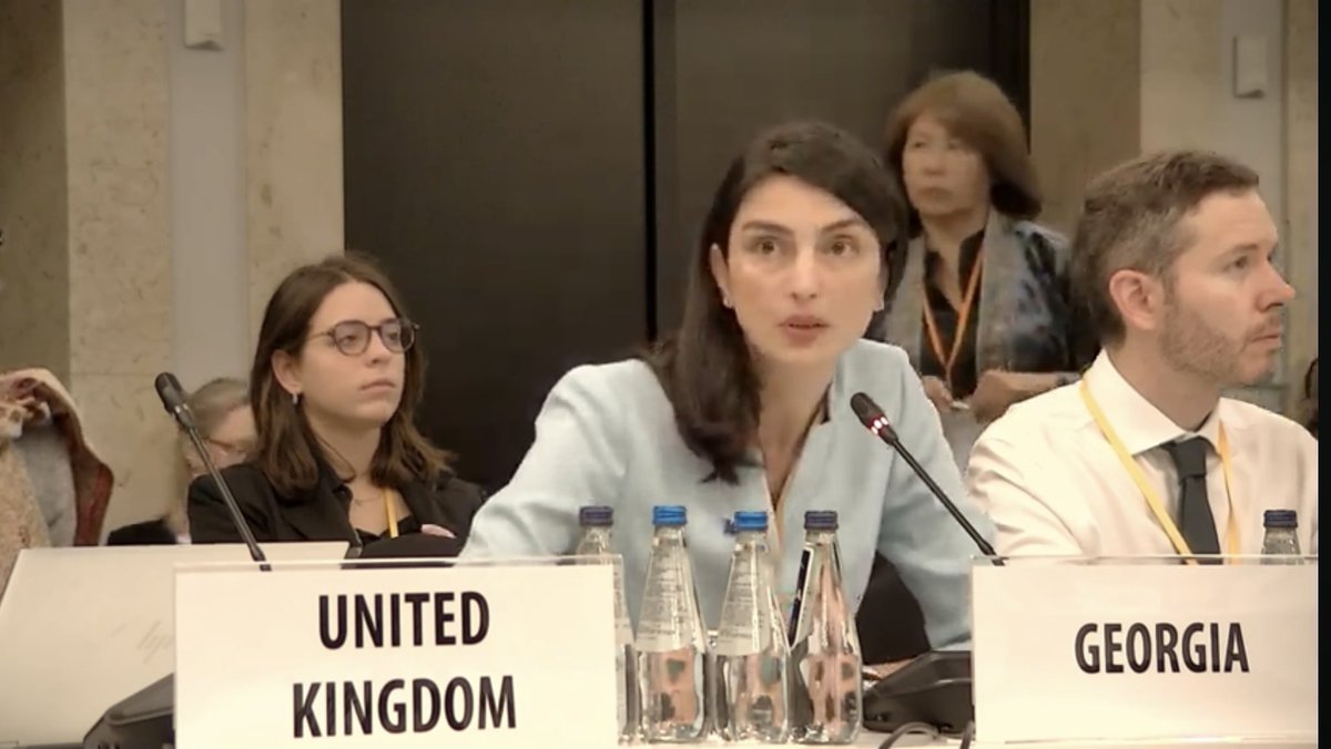 NinoShekriladze's tweet photo. Gender equality is key 4 achieving more peaceful,prosperous &amp; democratic OSCE area. Reviewed steps at national level. Stressed that women in 🇷🇺-occupied Abkhazia &amp; Tskhinvali regions of 🇬🇪 continue to suffer from grave violations of their rights &amp; fundamental freedoms #WarsawHDC https://t.co/ATI0uJZJs4
