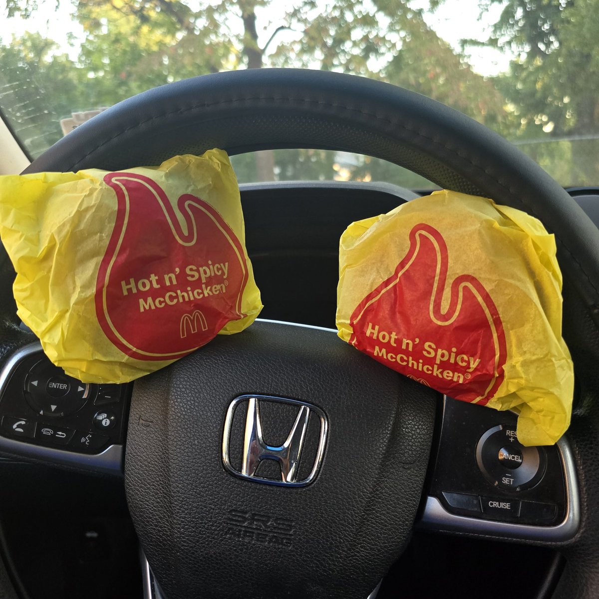 TupacMoseley's tweet photo. @McD_Nashville My 🐐🐐🐐 https://t.co/iNB6gN7QV7