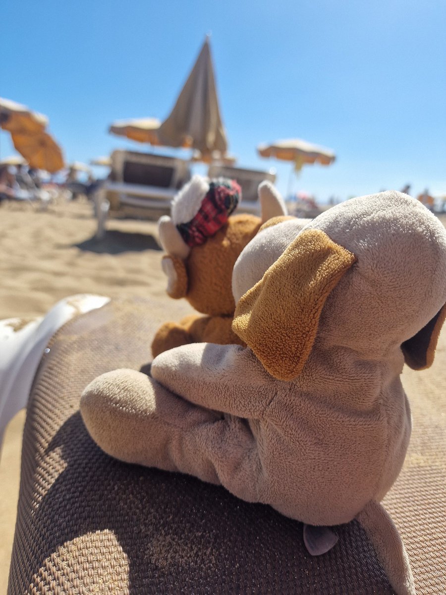 Today at the beach with our little one's so cuuutee