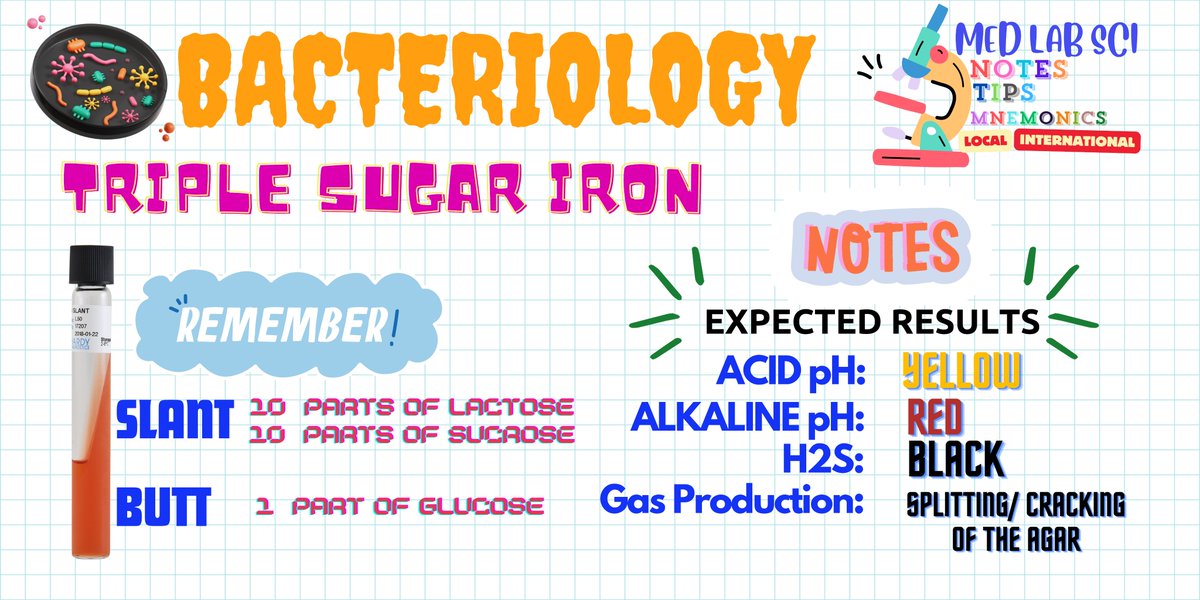 Bacteriology!!!