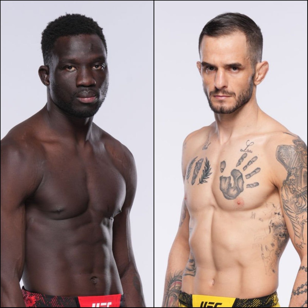 DavidOnama145's tweet photo. Back to business against Lucas Almeida November 16th at Madison Square Garden. 🥷🏿 https://t.co/BjzAUfQfaX
