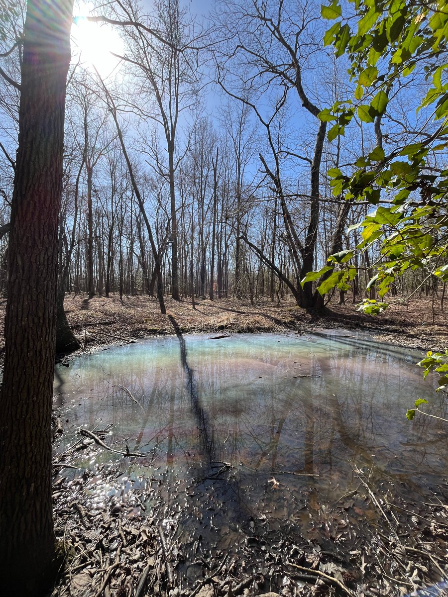 Carla López Lloreda tweet media