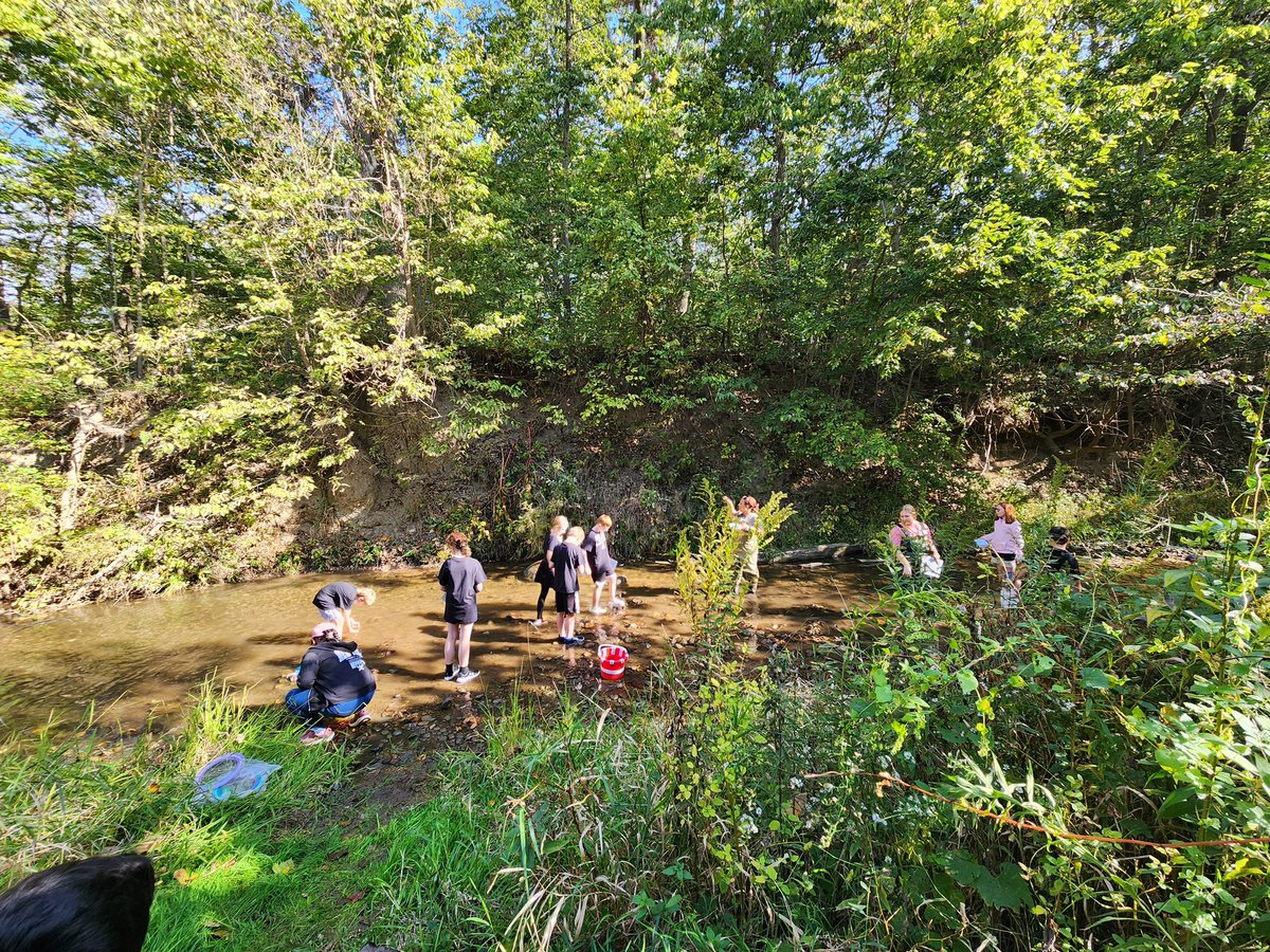 Last weekend, IISG Aquatic Education Associate, Megan Gunn, along with other leaders in environmental education, turned Camp Cullom into a science lab for 24 Clinton County 5th graders.

Full story at the link in bio.