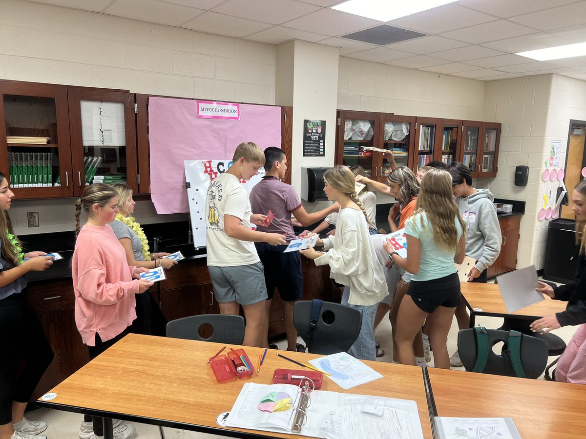 Kristen Adams tweet media