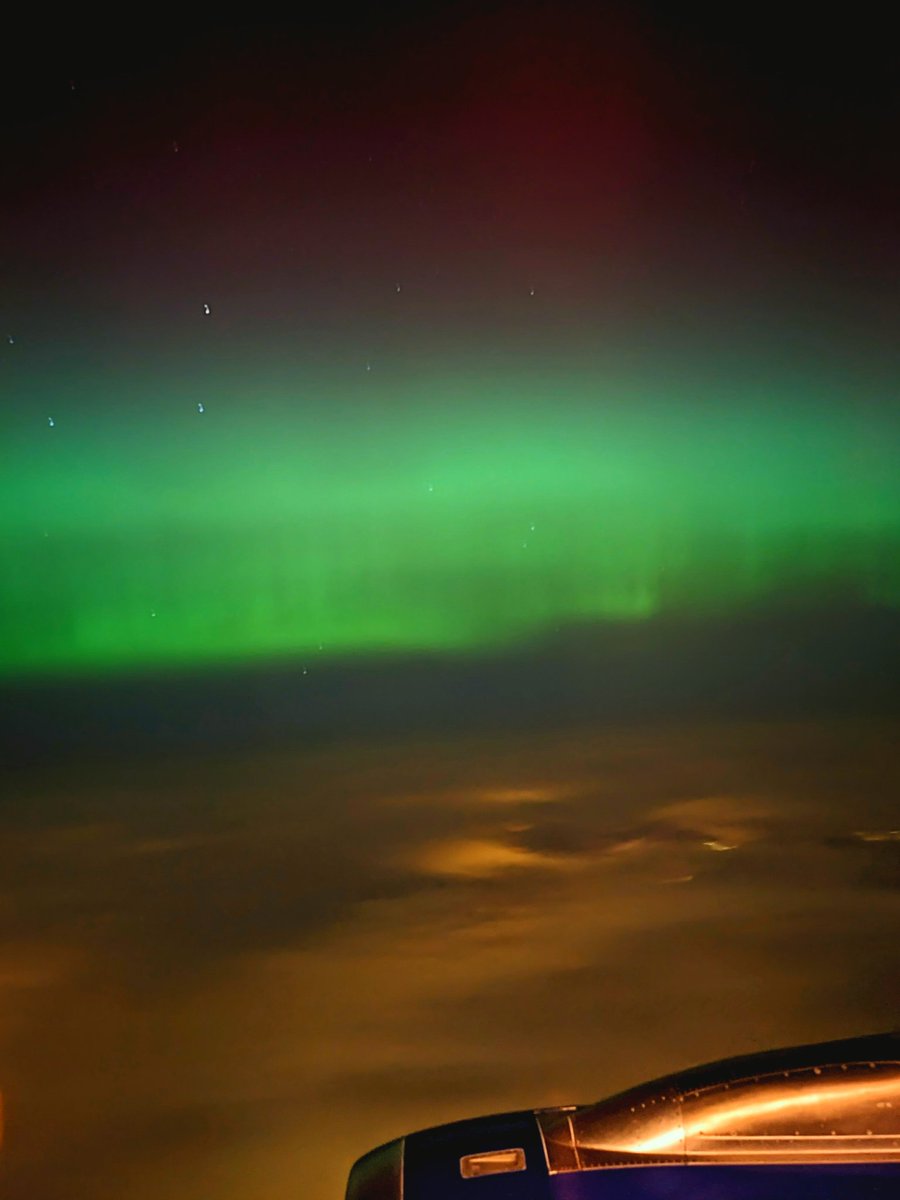 Niall Miranda tweet media