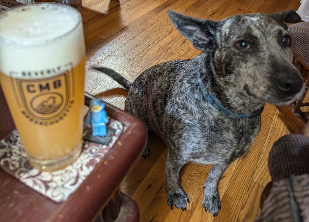 ASFreed's tweet image. Happy #ThirstyThirsday y'all

#CraftBeer #CraftCans #ProperGlassware #LunaApproved @badhopper @ManvsAle @RealBMaxwell @madrivertoaster @juggbigt @Just4BeerLovers @david_fuz @timmytckr @JonMontag @MartynMcIntosh @lMinglewoodl @SMem1971 @cellmavin @Fiocho @JohanBBT @amethyst_heels