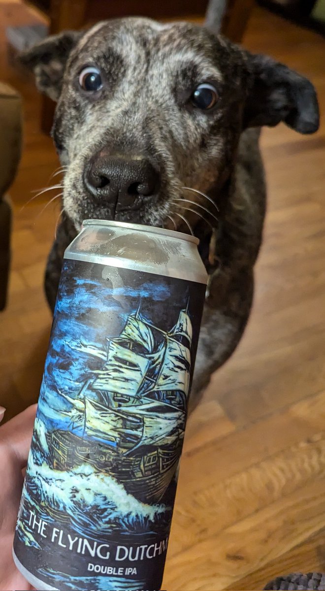 ASFreed's tweet image. Happy #ThirstyThirsday y'all

#CraftBeer #CraftCans #ProperGlassware #LunaApproved @badhopper @ManvsAle @RealBMaxwell @madrivertoaster @juggbigt @Just4BeerLovers @david_fuz @timmytckr @JonMontag @MartynMcIntosh @lMinglewoodl @SMem1971 @cellmavin @Fiocho @JohanBBT @amethyst_heels