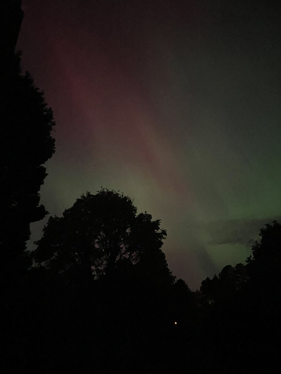 Jason Allardyce tweet media