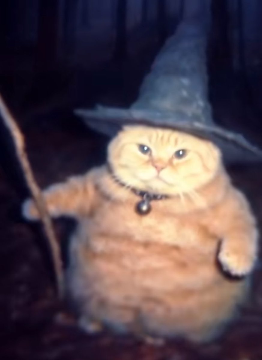 me during splatoween 2024