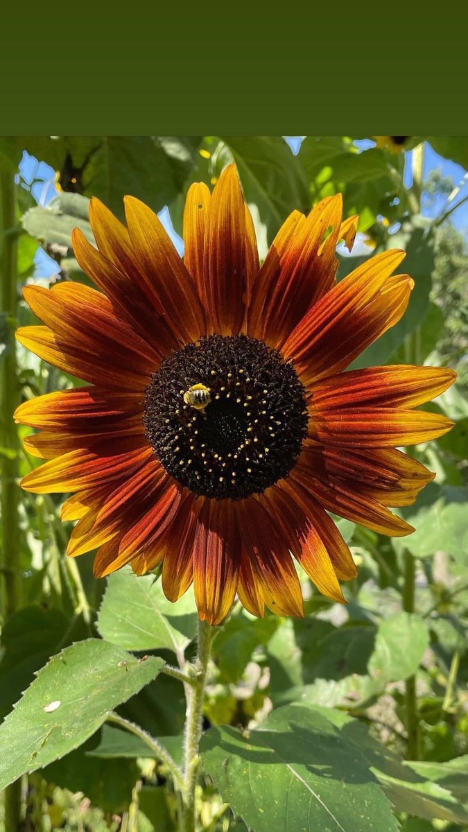 beviecooks's tweet photo. @tomlin_bruce https://t.co/xozsiLdR2L