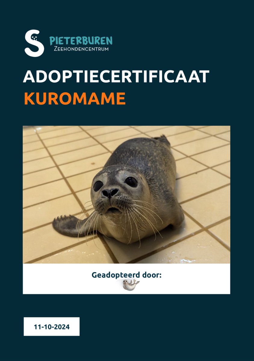 YU (@pon_0617) / Posts / X