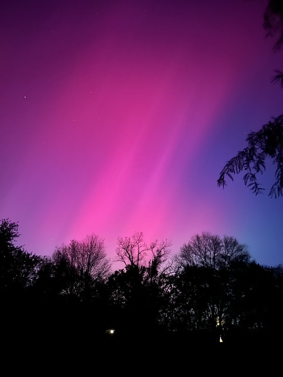 Marguerite Turley tweet media