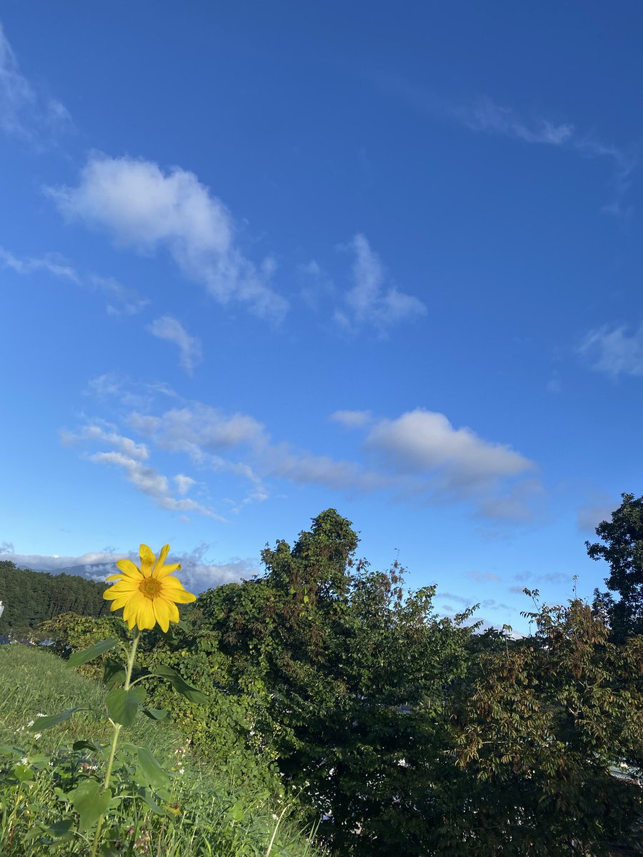 YUME_nomad's tweet photo. 「今日はどんな1日になるかな？」
よりも
「今日はどんな楽しいことがある1日かな？」
って思って過ごせたら
寝る前の私はきっと幸せ✨

未来の自分が喜ぶ方に考えたり、行動したりしていこう！ https://t.co/XrKm7xQ2tk
