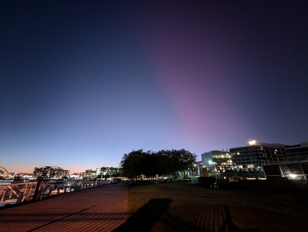 bøşſї tweet media