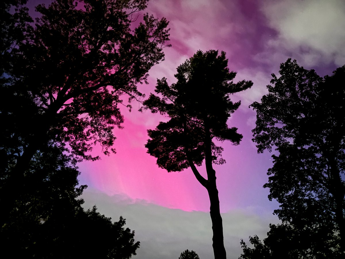 Spectacular aurora from my backyard in Albany!