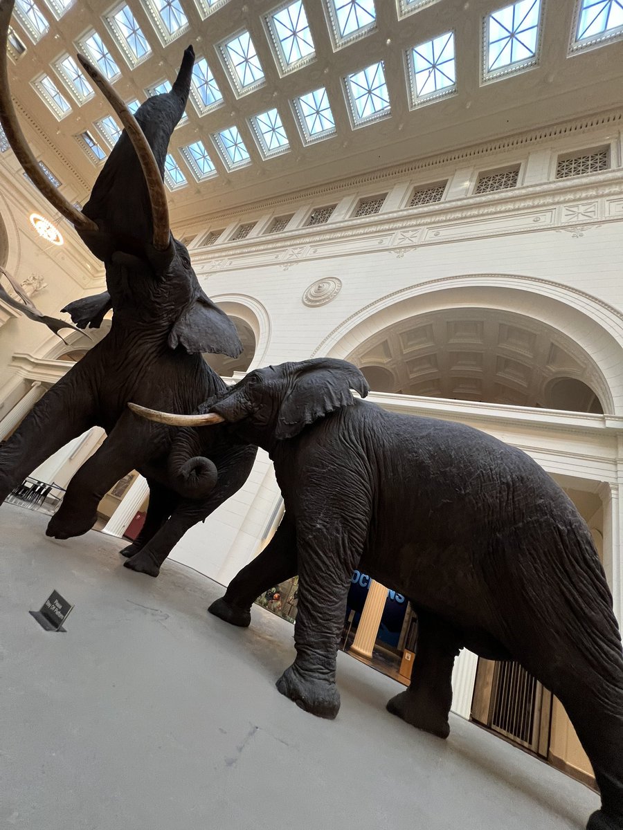 Christopher Moore tweet media