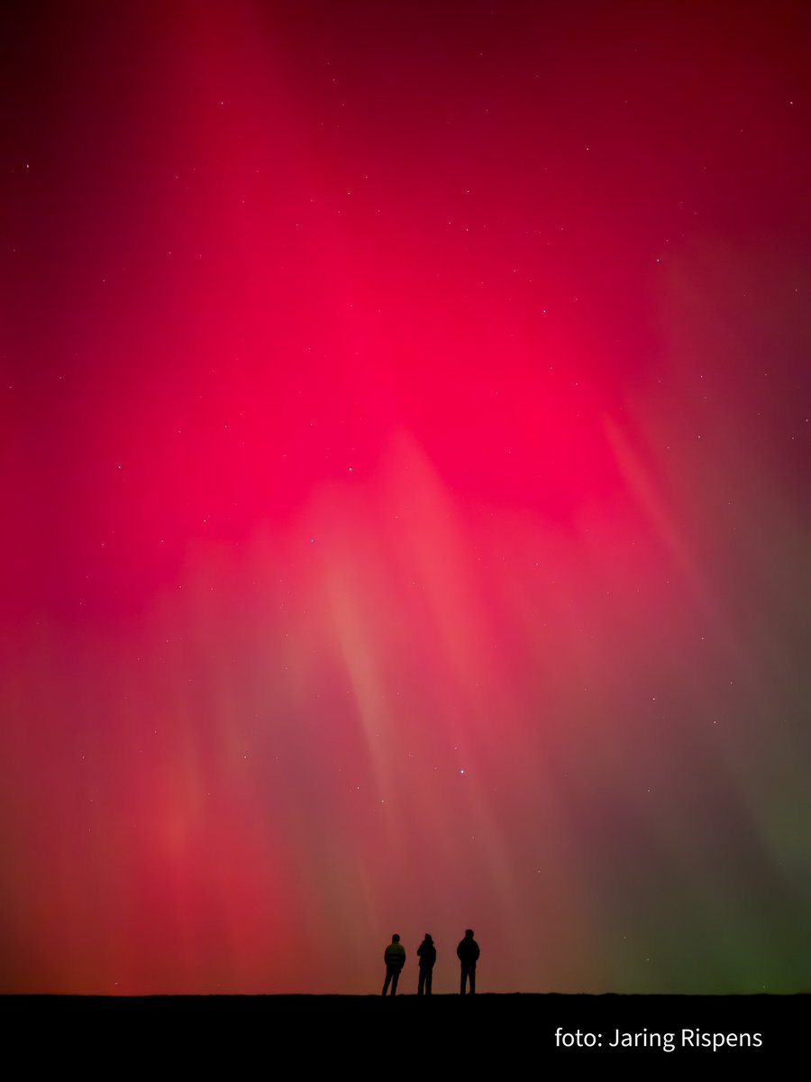 CAMJOmedia's tweet photo. Niet normaal! Wat een spektakel! Foto met telefoon zojuist gemaakt. Met blote oog ook zo te zien! #poollicht #noorderlicht https://t.co/oSk45EzU8r