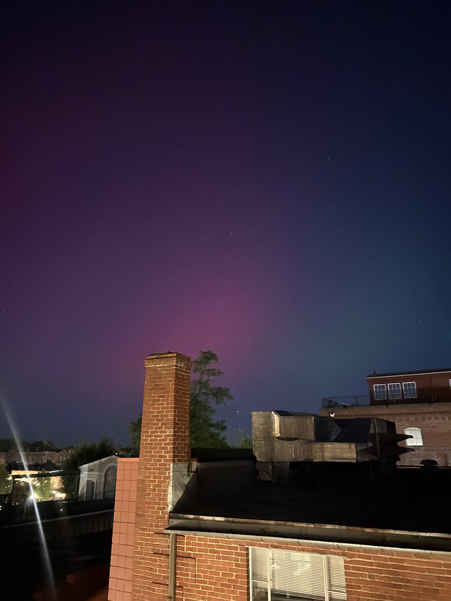 Lauren Carrano tweet media