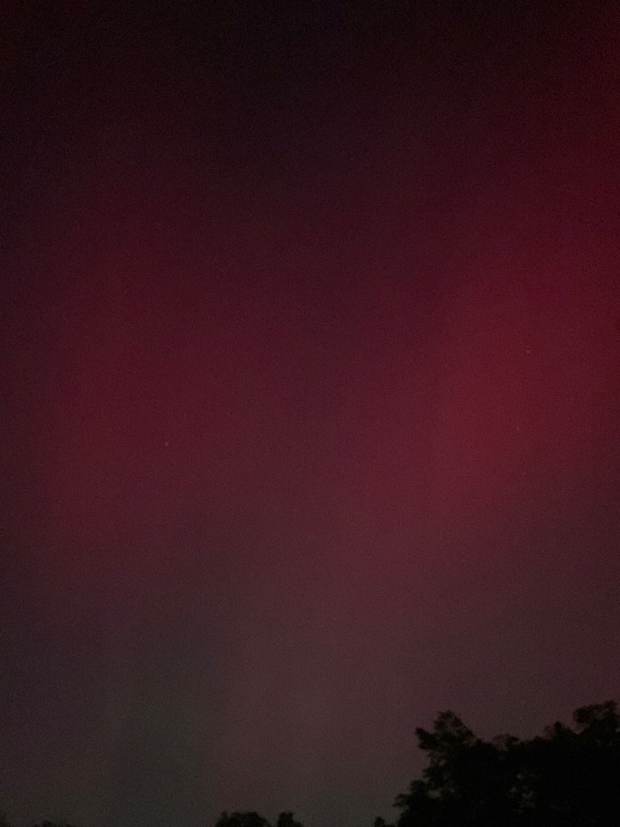 Kate Terry tweet media