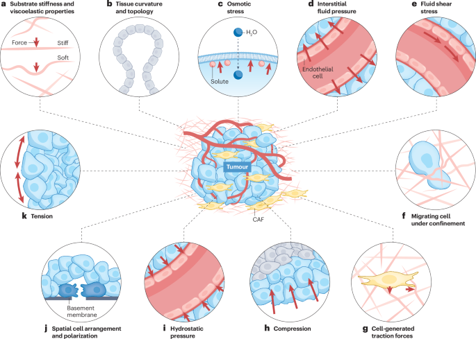 NatureRevCancer tweet picture