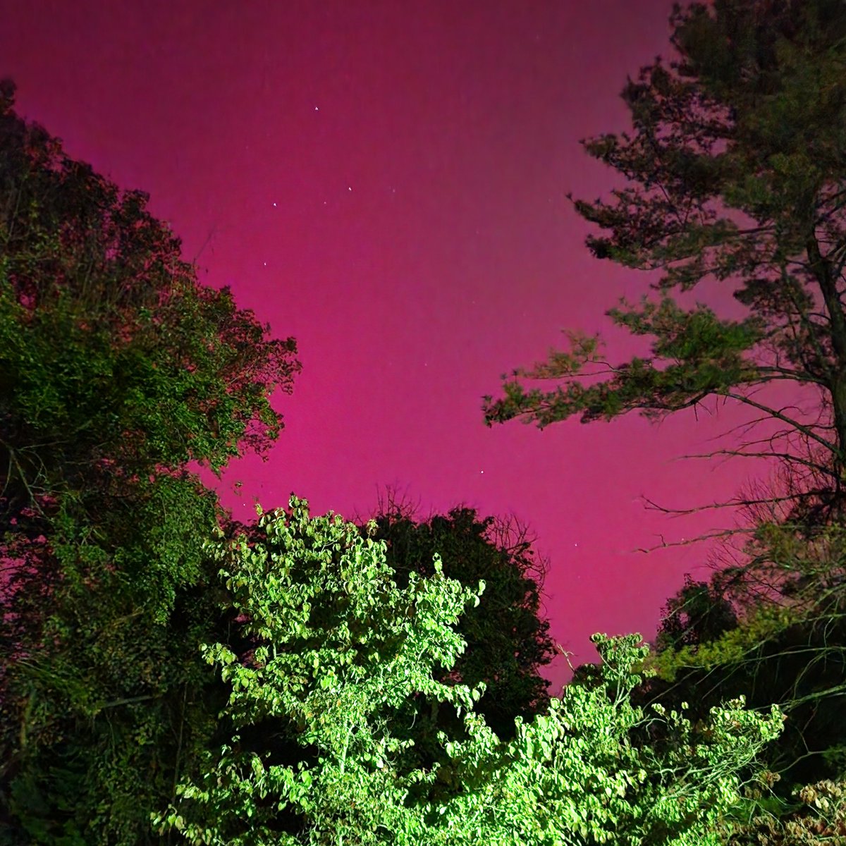 TonyPannWBAL's tweet photo. First time I have ever seen the Northern Lights! From Cockeysville, MD tonight! https://t.co/8ScPbkQPYa