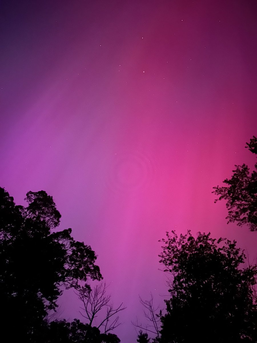 Kat Truelson tweet media