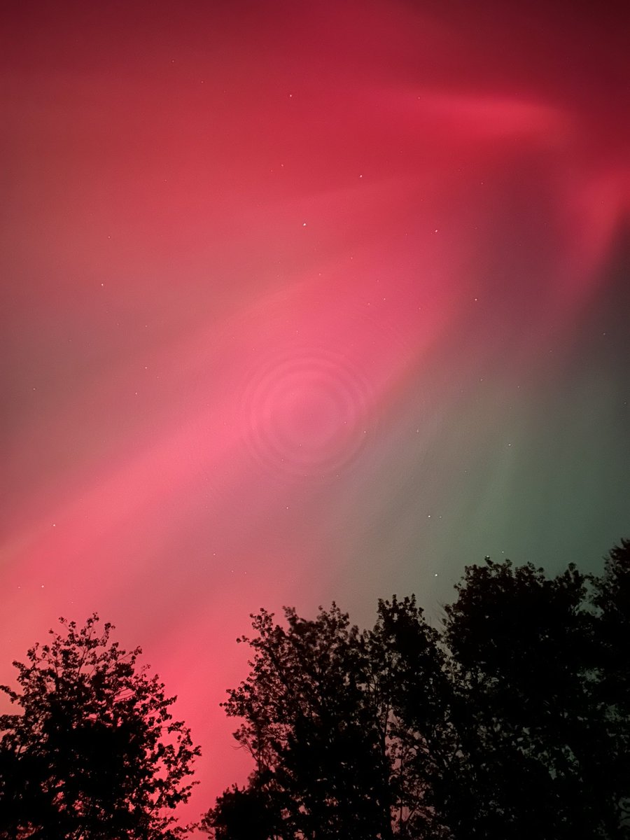 Kat Truelson tweet media