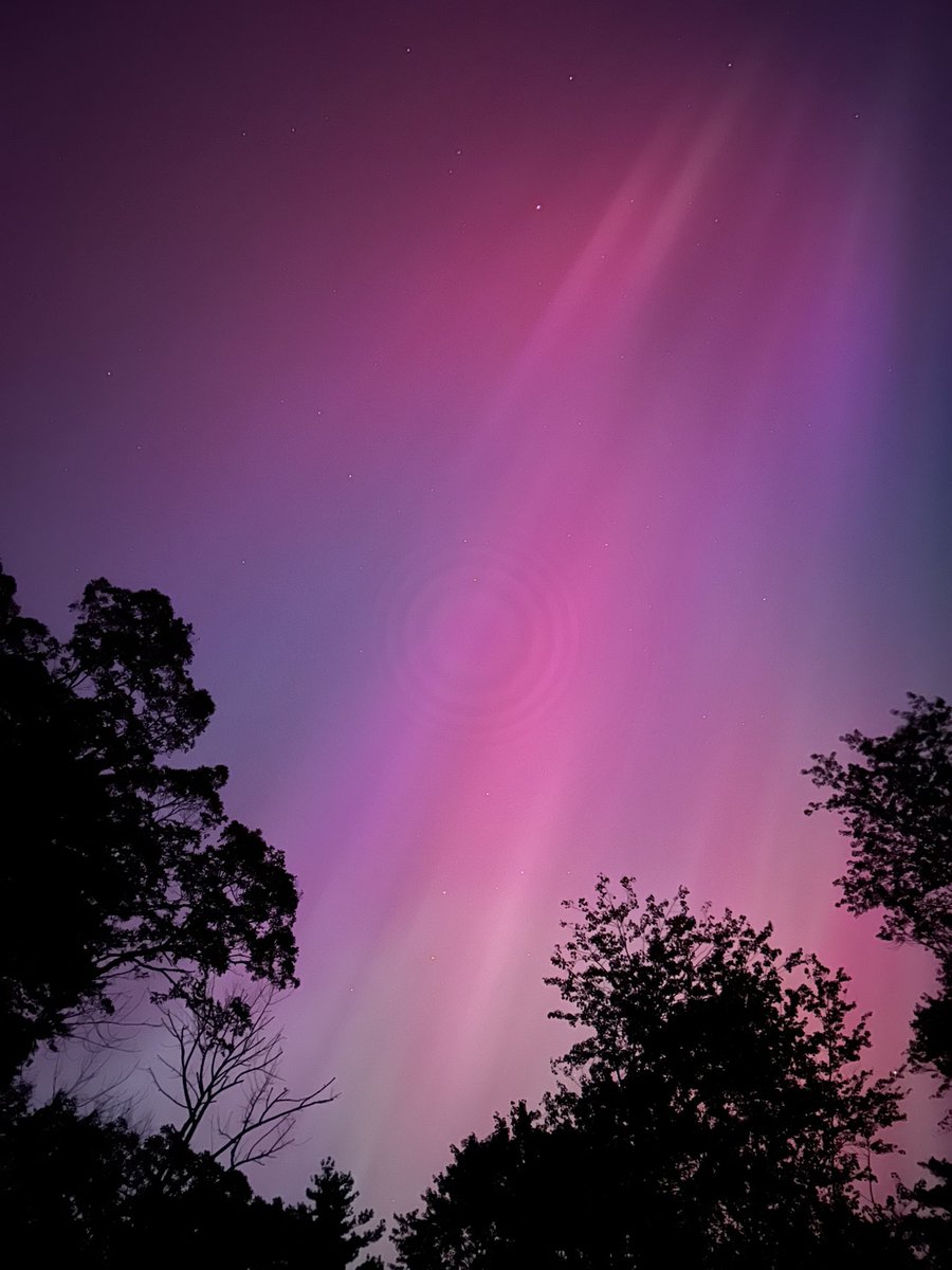 Kat Truelson tweet media