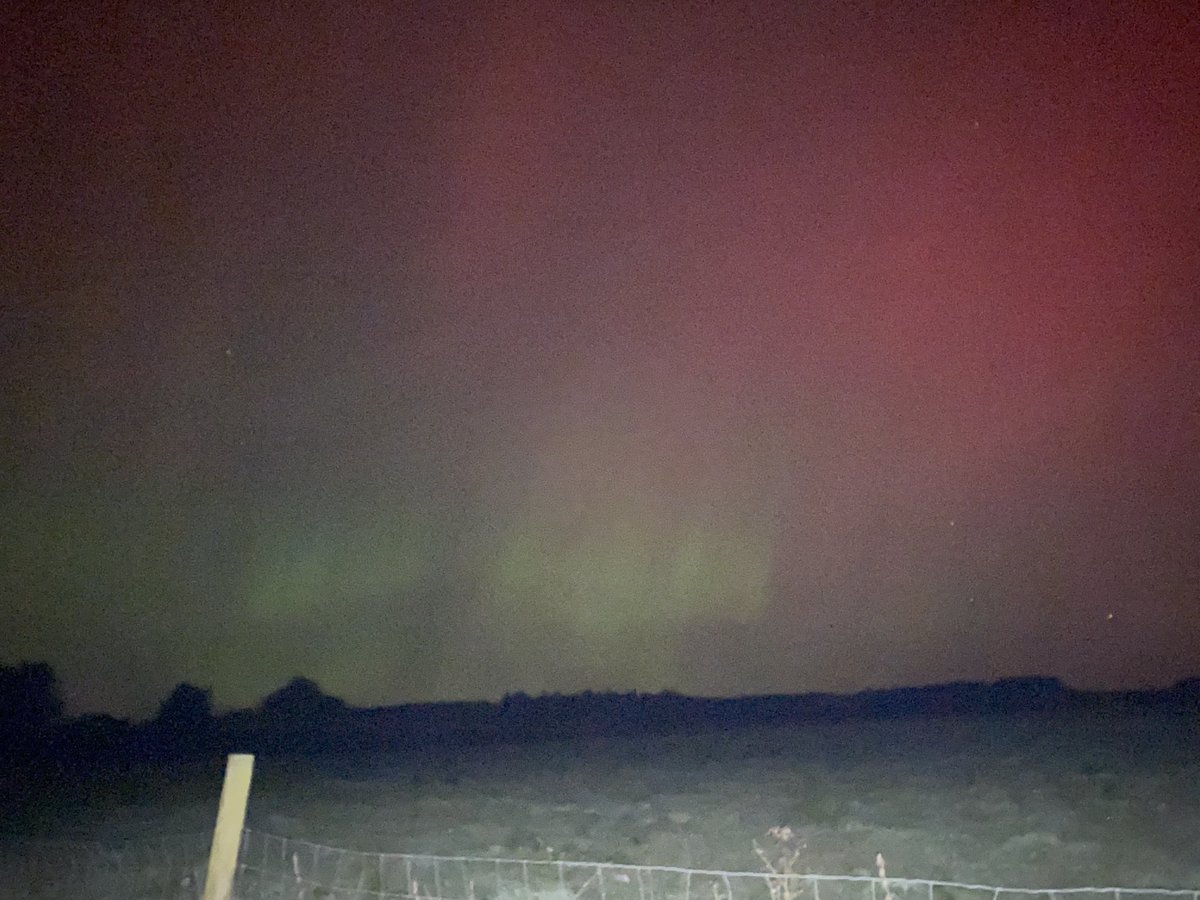 fimalone1 tweet media