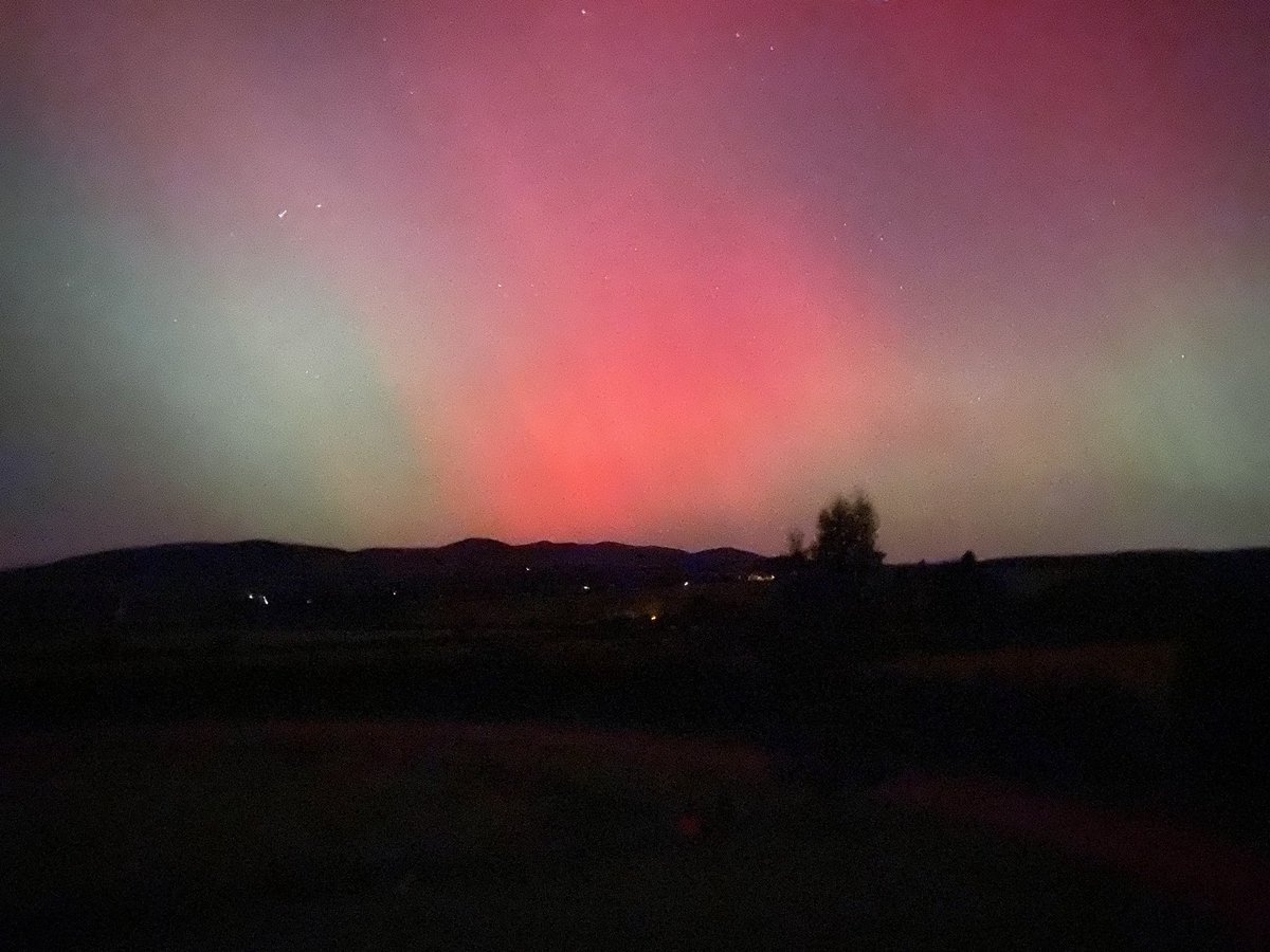 fimalone1 tweet media