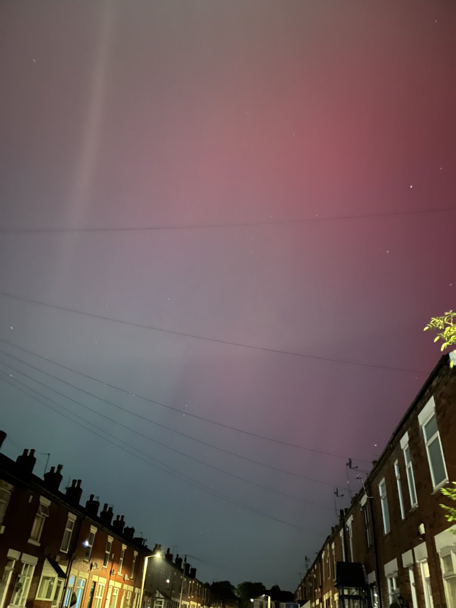 Peter Daily tweet media