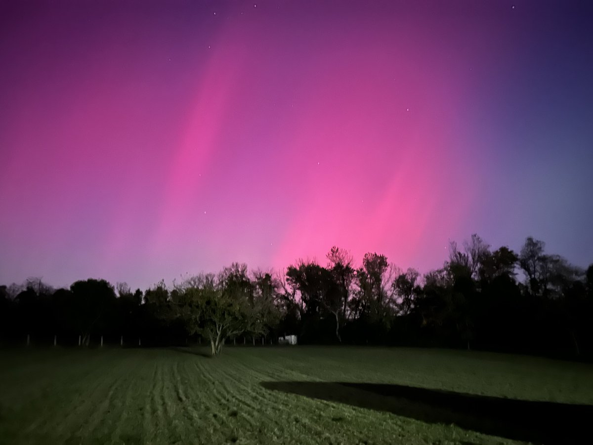 ArtByJac tweet media