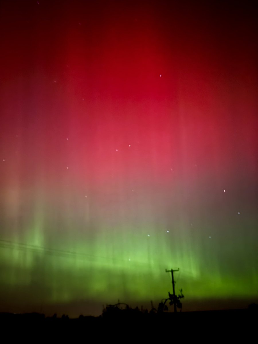 Kelly Sturt tweet media