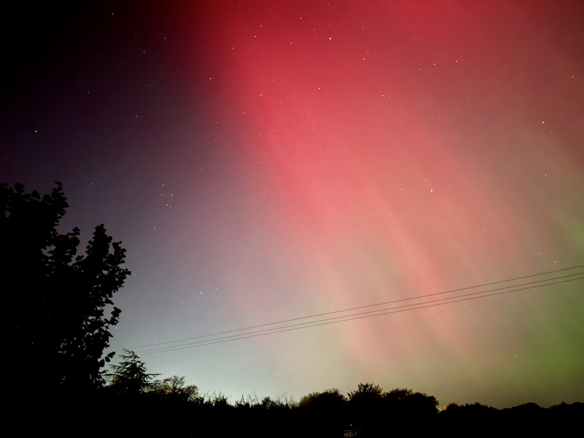 Kelly Sturt tweet media