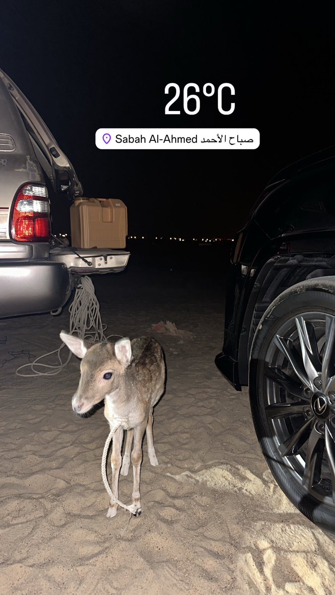 عبدالهادي محمد المري tweet media