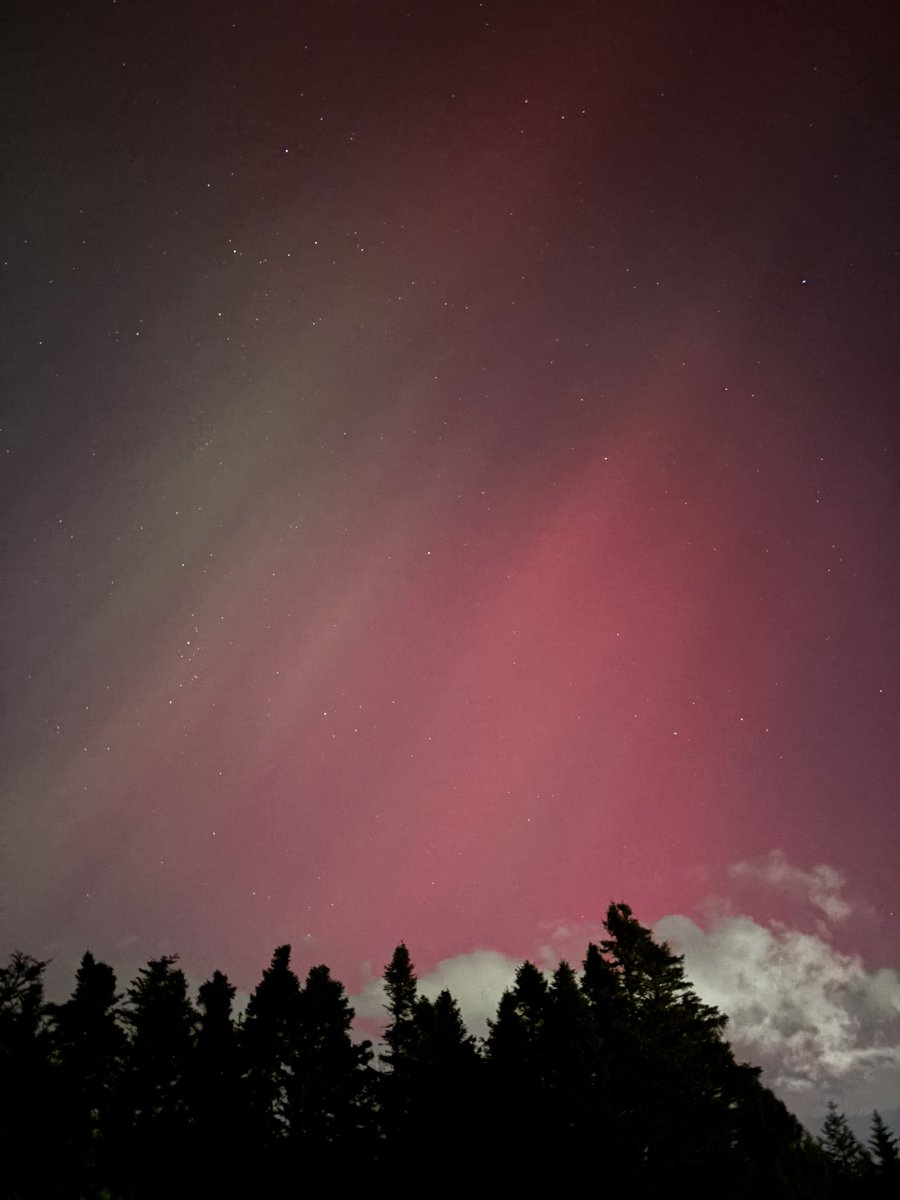 _aprilelizabeth's tweet photo. Magical ✨#nlwx https://t.co/3Da2Gy9F5h