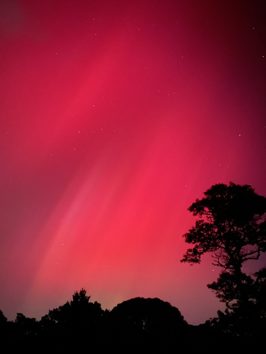 ORZueva's tweet photo. Aurora Borealis! Yes! In Woods Hole https://t.co/ayiSygy2TR