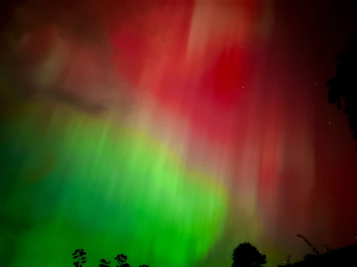 victoria ramsden tweet media