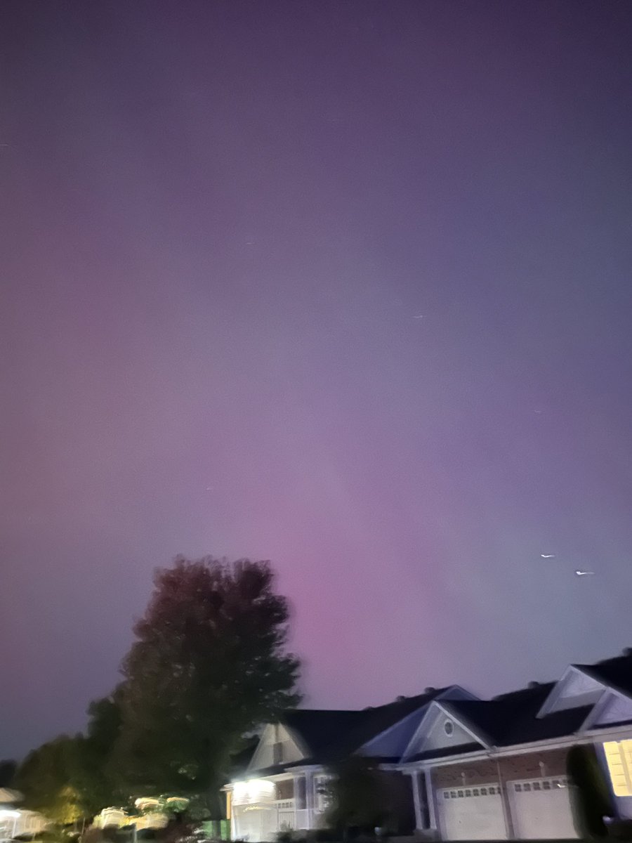 Jody Prevost (she/her) tweet media